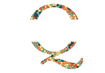 NAQSH